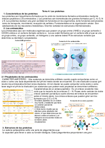 Tema-4-proteinas.pdf