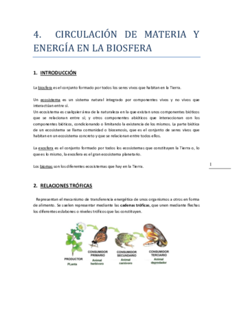 TEMA-4.pdf