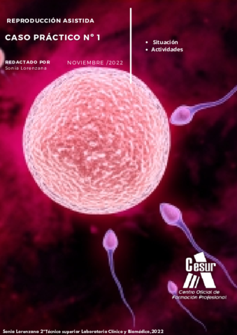 Actividades-Caso-practico-No-1.pdf