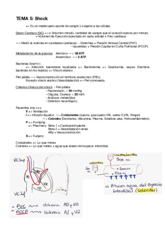 TEMA-5-Shock-.pdf