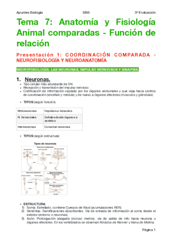 BIOLOGÍA NS T7-Anatomía y Fisiología Animal comparadas.pdf