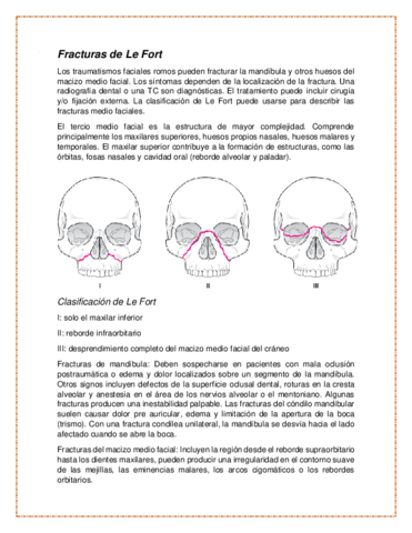 CLASIFICACION-DE-LE-FORT.pdf