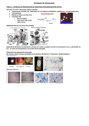 apuntes-microscopia-t4.pdf