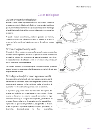 Examen-botanica.pdf