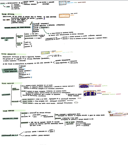 680BEA29-9813-4564-80BE-F7E6D5A60765.jpg