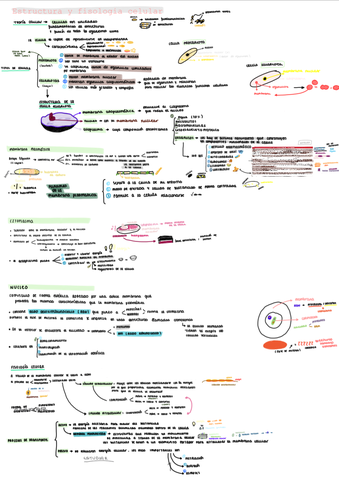 9111C19D-B540-4A63-A9D2-C144BF0921CE.jpg