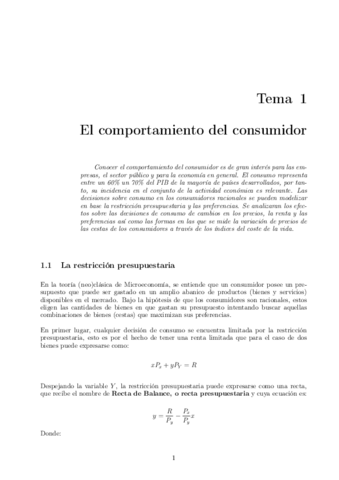 MicroIITema1Consumidor-1.pdf