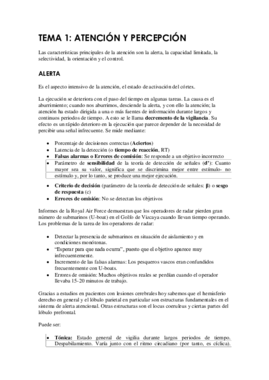 Tema 1 PyA def.pdf