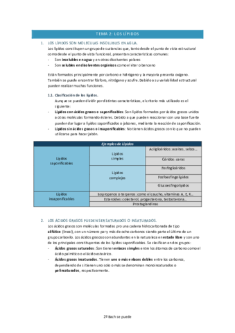 Los-lipidos.pdf