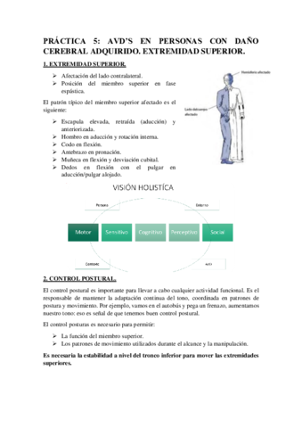 PRACTICA-5-AVDS-EN-PERSONAS-CON-DANO-CEREBRAL-ADQUIRIDO.pdf