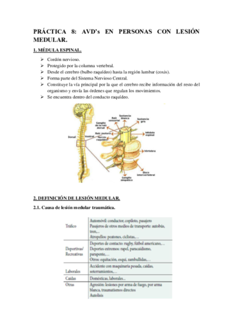 PRACTICA-8-AVDs-EN-PERSONAS-CON-LESION-MEDULAR.pdf
