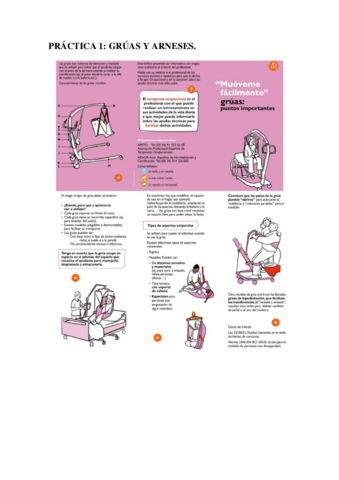 PRACTICA-1-GRUAS-Y-ARNESES.pdf