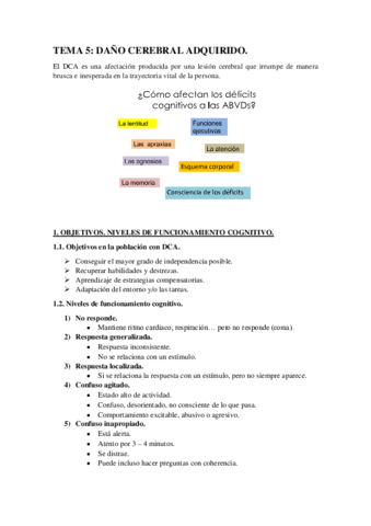 TEMA-5-DANO-CEREBRAL-ADQUIRIDO.pdf