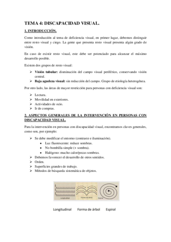 TEMA-4-DISCAPACIDAD-VISUAL.pdf