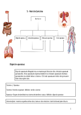 Digestio-aparatua-eta-arnas-aparatua.pdf