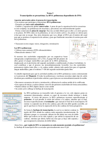 TEMA-3.pdf