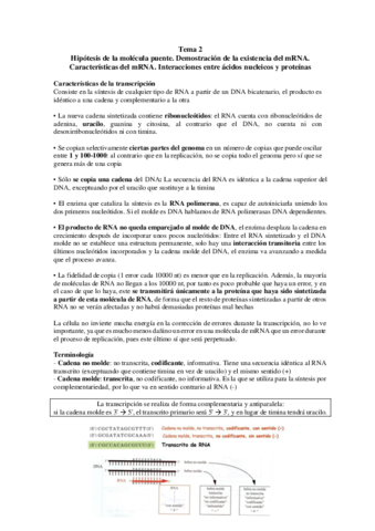 TEMA-2.pdf