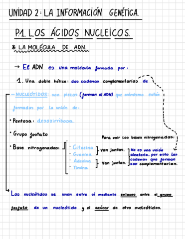 Los-acidos-nucleicos-y-la-expresion-de-genes.pdf