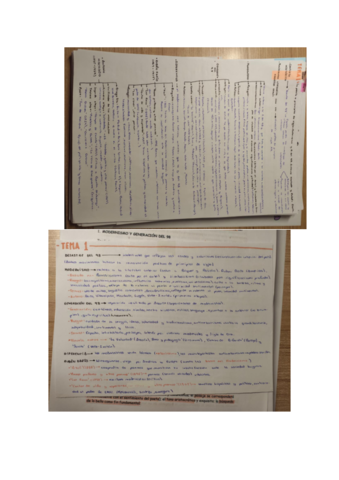 APUNTES-LITERATURA-CYL-EBAU.pdf