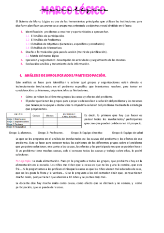Marco-logico-promocion.pdf