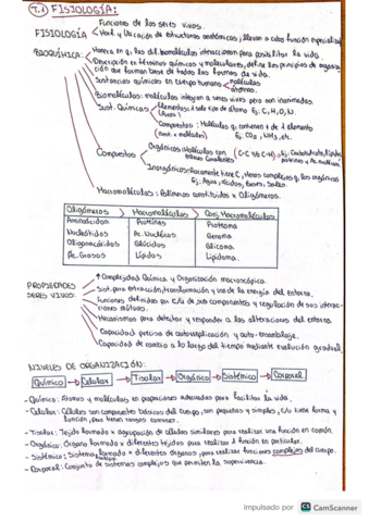 Apuntes-Fisiologia-tema-1.pdf