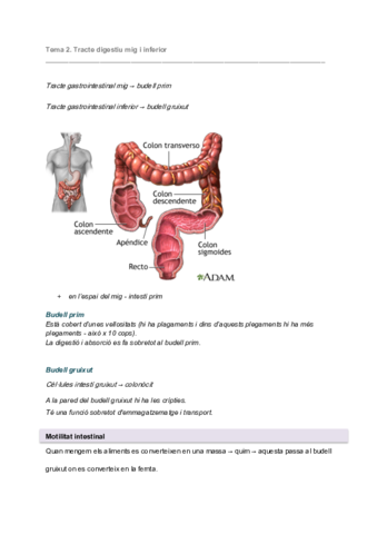 UD2.pdf