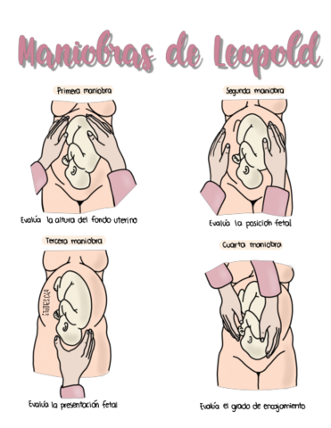 Maniobras-de-Leopold.pdf