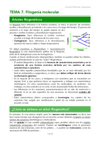 TEMA-7.pdf