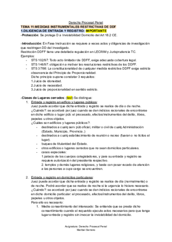 TEMA-11-D-Procesal-Penal.pdf