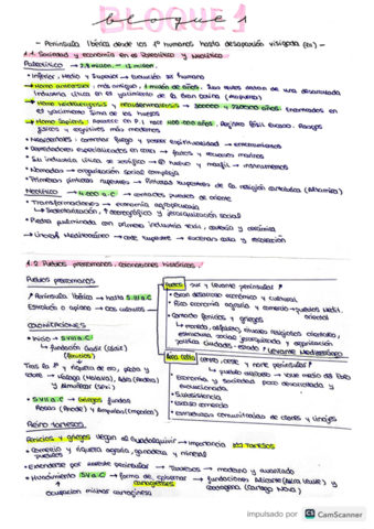 bloque-1-historia-.pdf