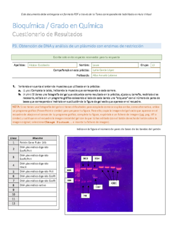 Informe-1.pdf