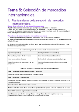 Tema-5-Mrkt-Int.pdf