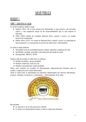 SALUD-PUBLICA-apuntes.pdf