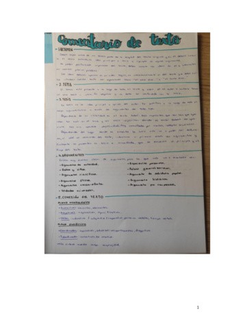 COMENTARIOS-DE-TEXTO-HECHOS.pdf