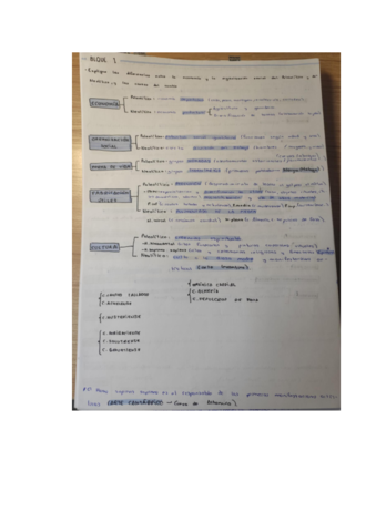 ESQUEMAS-STANDARES-BLOQUES-1-Y-2-CYL.pdf
