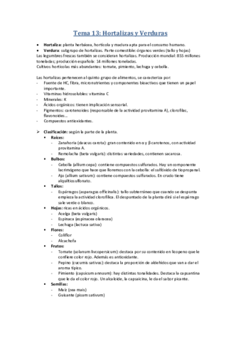 Tema-13.pdf