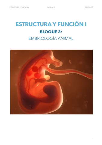 BLOQUE 3. EMBRIOLOGÍA.pdf