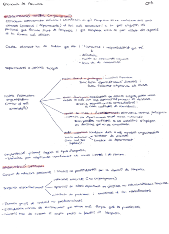 Organitzacio-formal-i-informal-de-lempresa.pdf