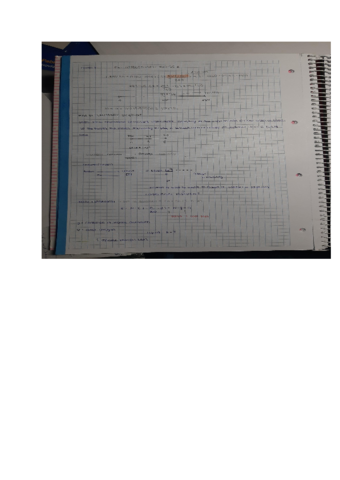 Ejercicios-Resueltos-4.pdf