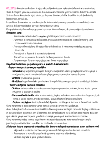 Principios Activos.pdf