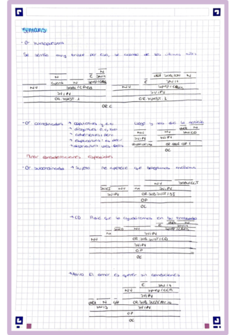 Sintaxis.pdf