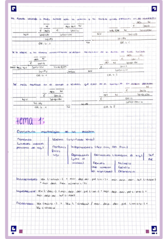 Estructuramorfologicadelapalabra.pdf