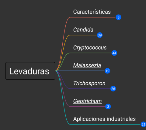 Levaduras-esquema.pdf