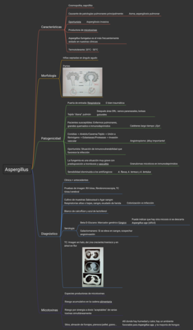 Aspergillus-esquema.pdf