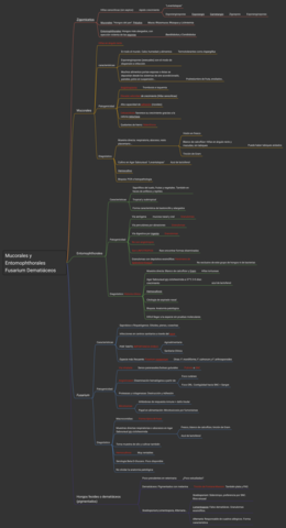 Mucorales-Entomophthorales-etc-esquema.pdf