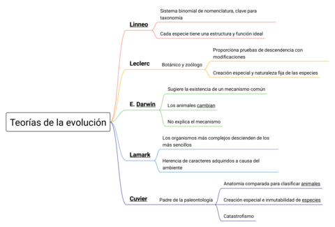 Teorias-de-la-evolucion-esquema.pdf