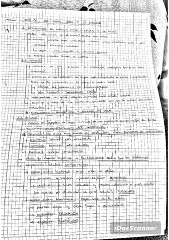 Tema-2.pdf