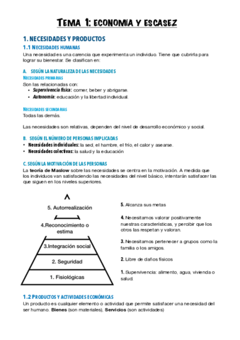 Economia-1.pdf