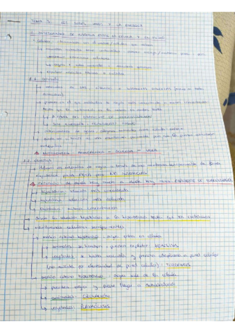 Tema-3.pdf