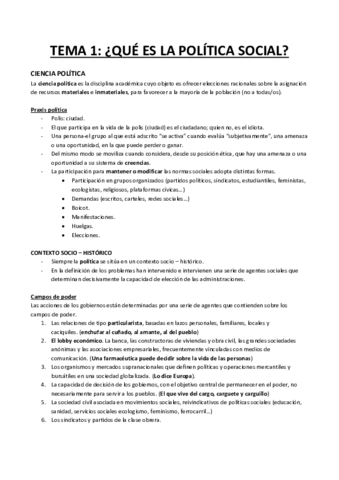 TEMA-1-politica.pdf